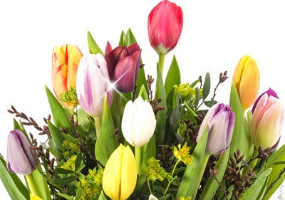 Blumensträuße zum Sparpreis Blumensträuße zum Sparpreis bestellen